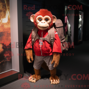 Red Capuchin Monkey maskot...