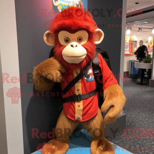 Mascotte de singe capucin...