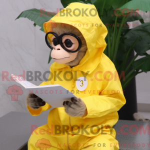 Sitrongul Capuchin Monkey...