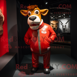 Red Jersey Cow...