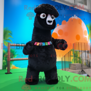 Black Alpaca mascot costume...