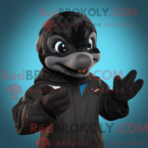 Black Dolphin mascot...