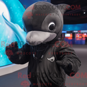 Black Dolphin mascot...