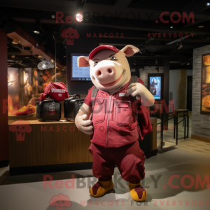 Maroon Pig maskot kostume...