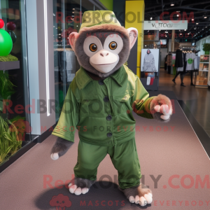 Green Capuchin Monkey...