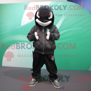 Olive Killer Whale mascot...