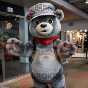 Grey Bear-maskotdraktfigur...