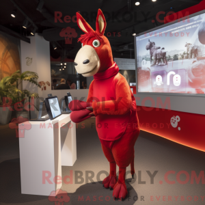 Red Donkey maskot kostume...