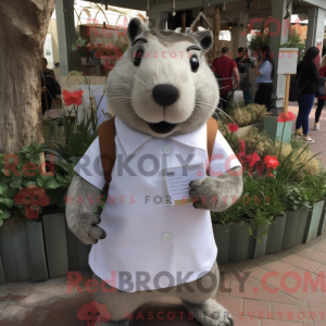 Sølv Capybara maskot...