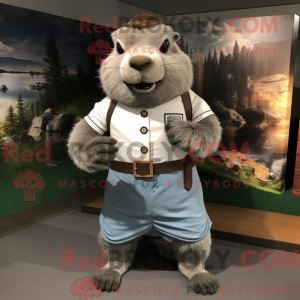 Grå Beaver maskot kostume...