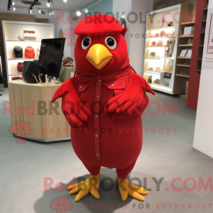 Red Canary Maskottchen...