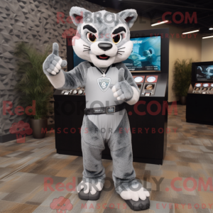 Grå Bobcat maskot kostume...