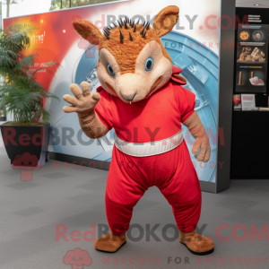 Red Armadillo...