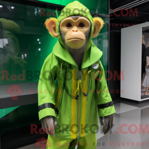 Lime Green Capuchin Monkey...