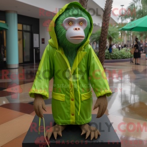 Limegrön Capuchin Monkey...