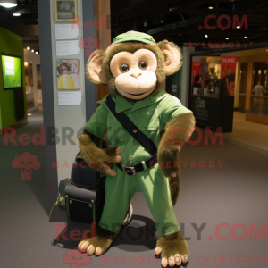 Green Capuchin Monkey...