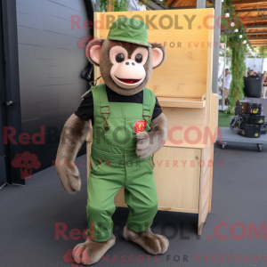 Green Capuchin Monkey...