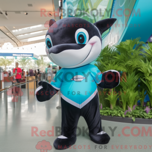 Teal Killer Whale mascot...