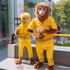 Yellow Capuchin Monkey...