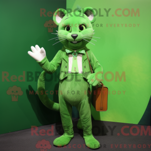 Groene kat mascotte kostuum...