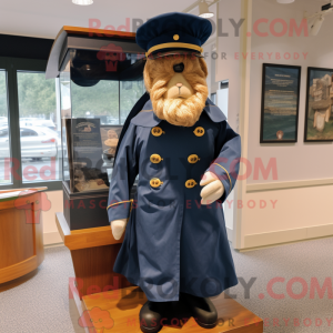 Navy Civil War Soldier...