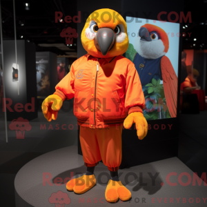Orange Parrot mascot...