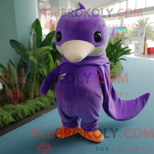 Lila Delfin Maskottchen...