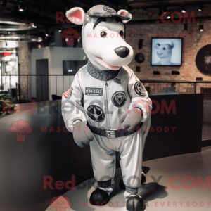 Silver Holstein Cow mascot...