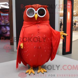 Costume mascotte de hibou...