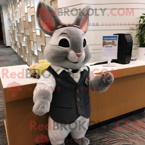 Chinchilla mascot costume...