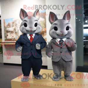 Chinchilla mascot costume...