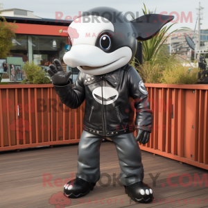 Silver Killer Whale maskot...