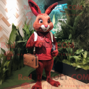 Maroon Wild Rabbit mascot...