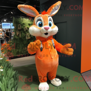 Orange Wild Rabbit mascot...