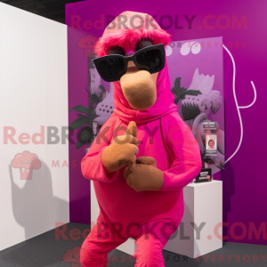 Magenta Camel mascot...