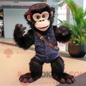Black Capuchin Monkey...