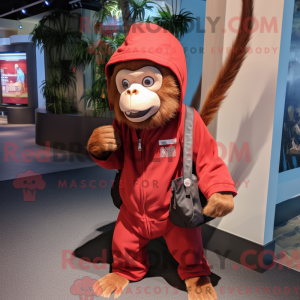 Red Capuchin Monkey mascot...