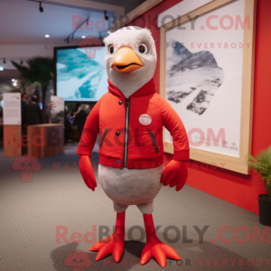 Red Gull maskot kostume...