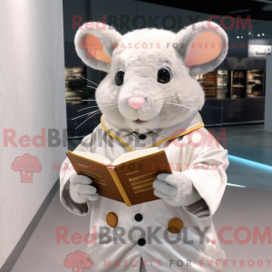 Sølv hamster maskot drakt...