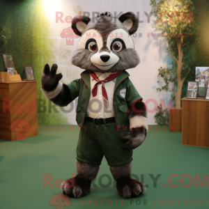 Olive Raccoon...