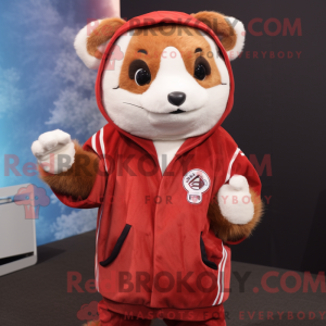 Figura de máscara de panda...
