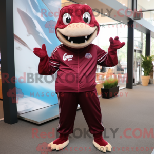 Maroon Barracuda mascot...