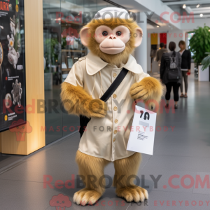Cream Capuchin Monkey...