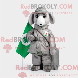 Sølv irsk flag maskot...