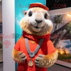 Marmot-mascottekostuum...