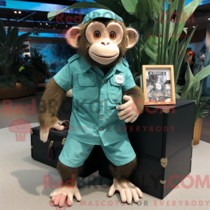 Blågrøn Capuchin Monkey...
