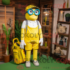 Disfraz de mascota de bolsa...