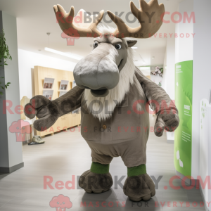 Gray Irish Elk mascot...