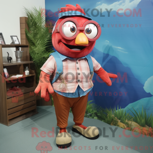 Maroon Clown Fish...