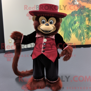 Maroon Capuchin Monkey...